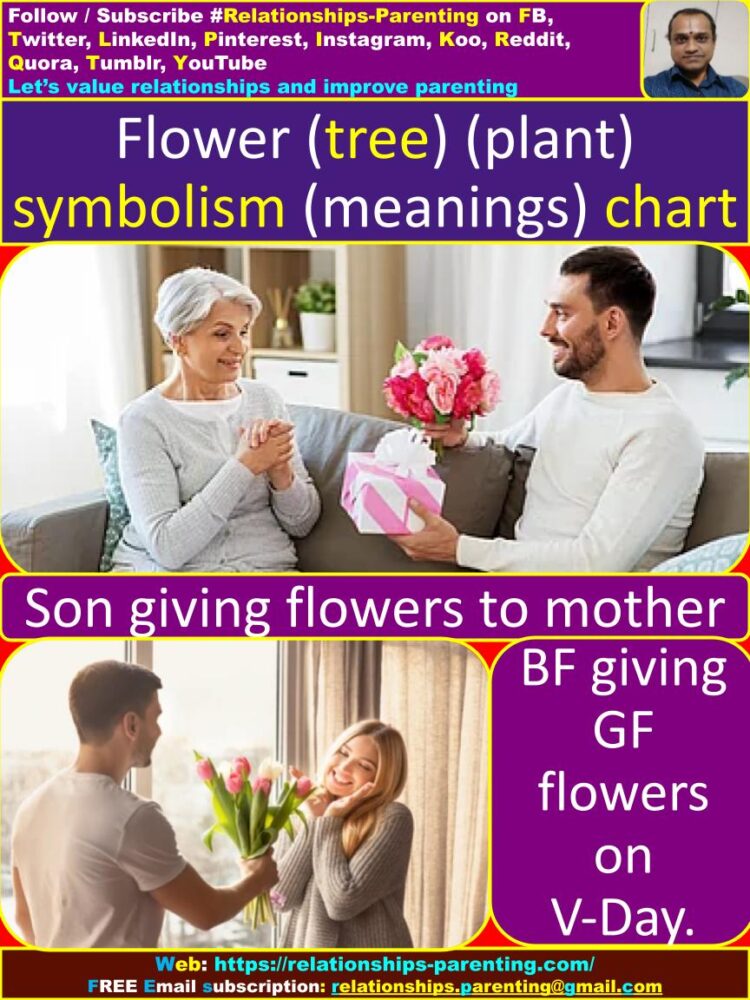 Rose Flower Symbolism Chart